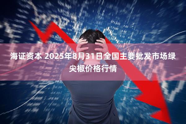 海证资本 2025年8月31日全国主要批发市场绿尖椒价格行情
